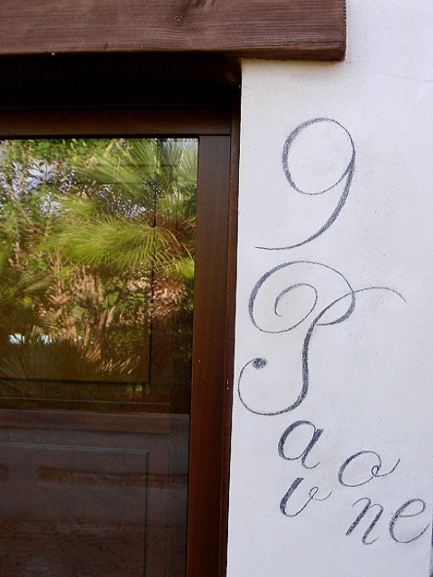 Vista della tenuta 11