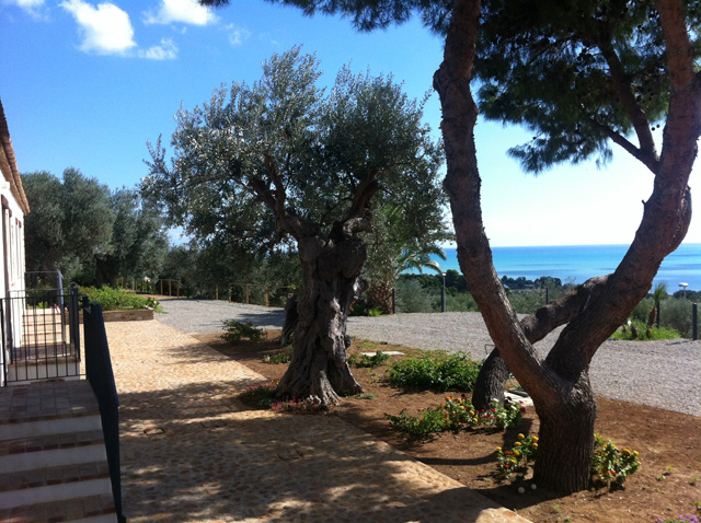 Vista della tenuta 24