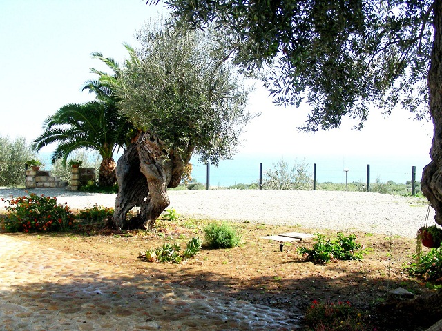 Vista della tenuta 3