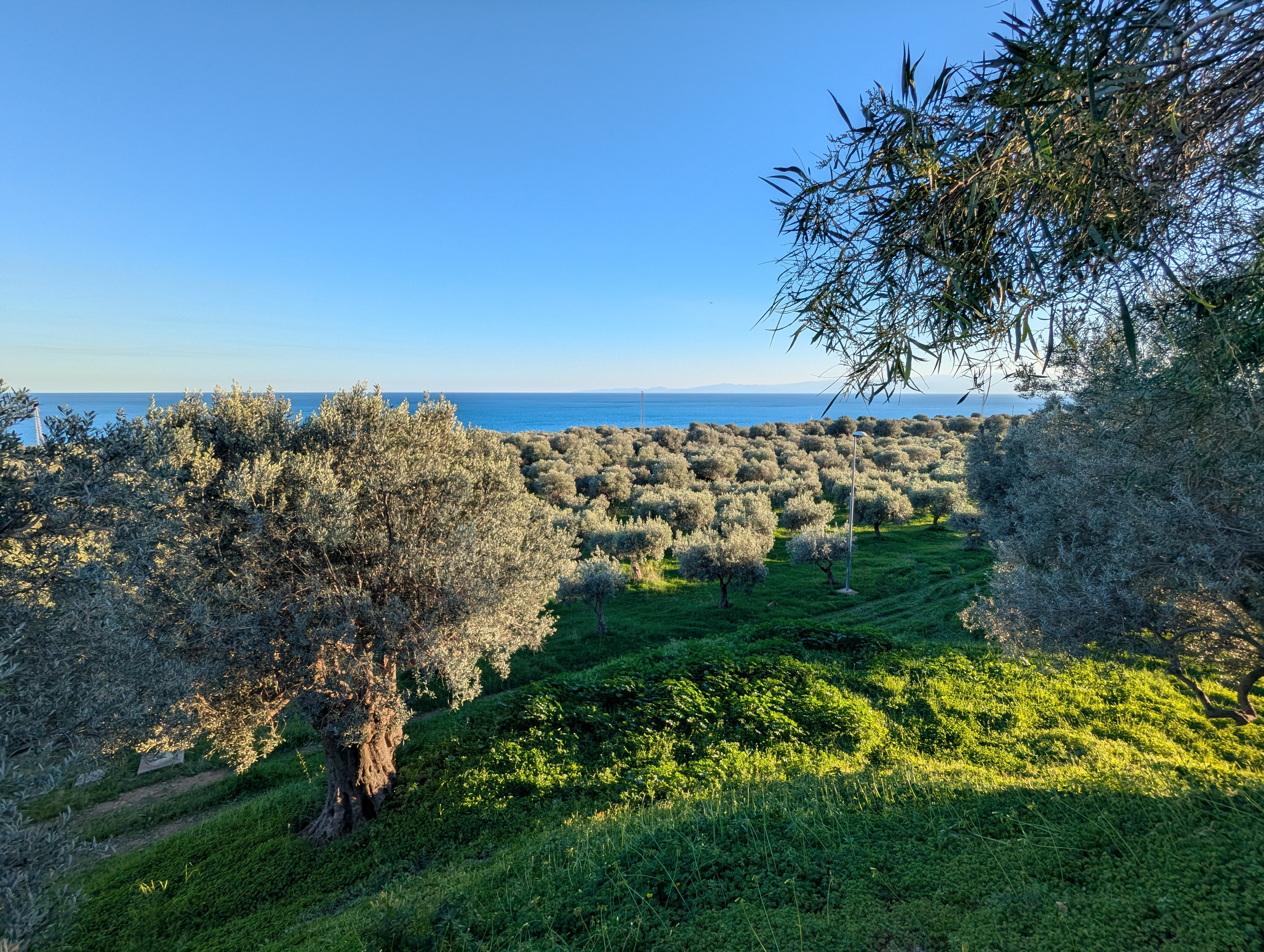 Vista della tenuta 3