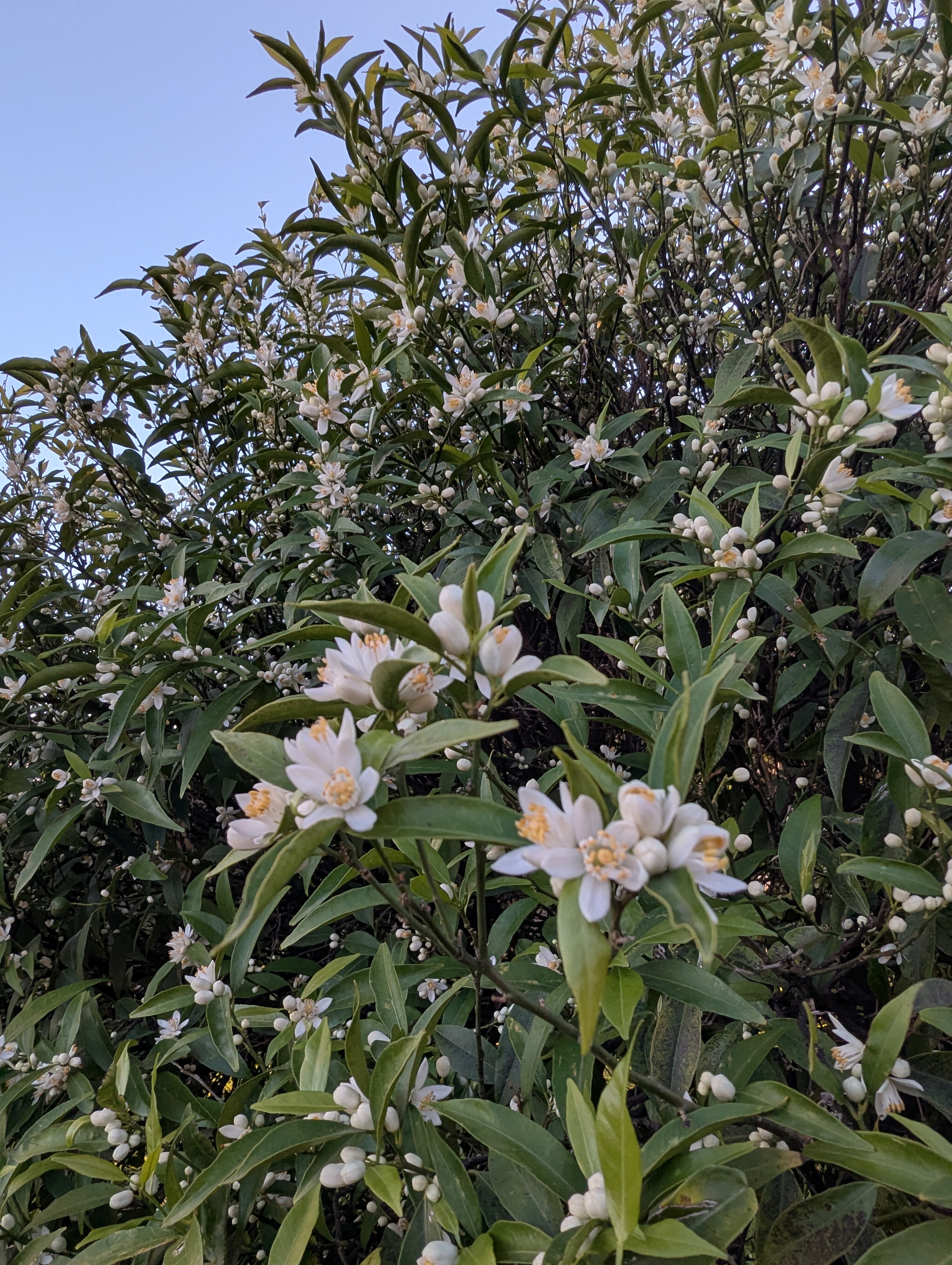 Vista della tenuta 6