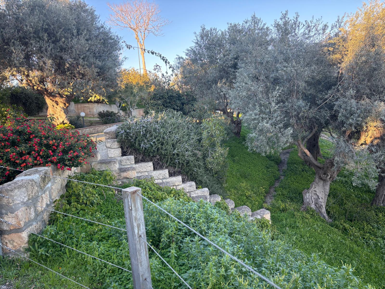 Vista della tenuta 7