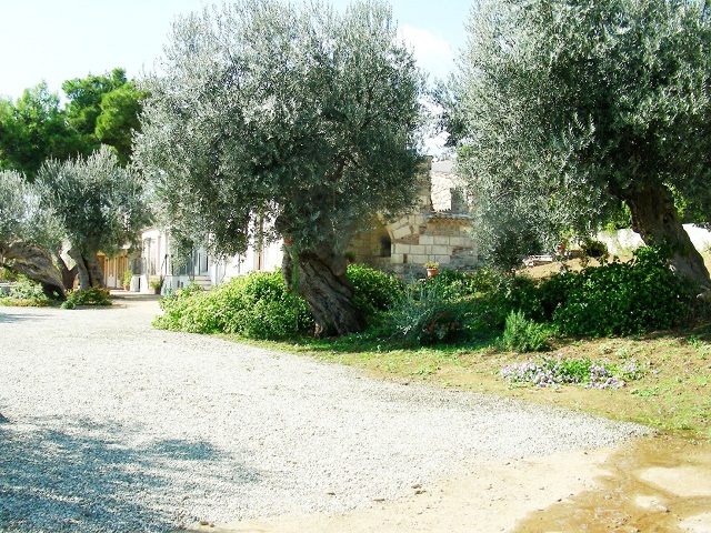 Vista della tenuta 4